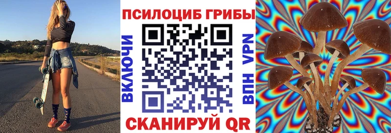Псилоцибиновые грибы прущие грибы  Солнечногорск 